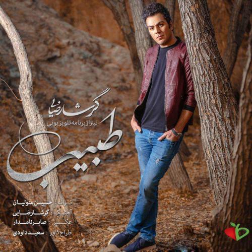 دانلود آهنگ جدید گرشا رضایی با عنوان طبیب